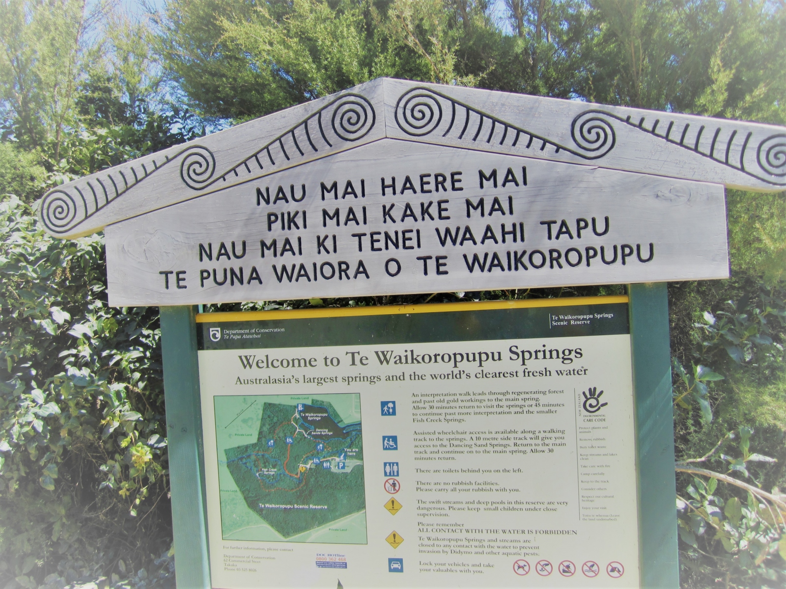 Te-Waikoropupu-Spring-Walk-6.2