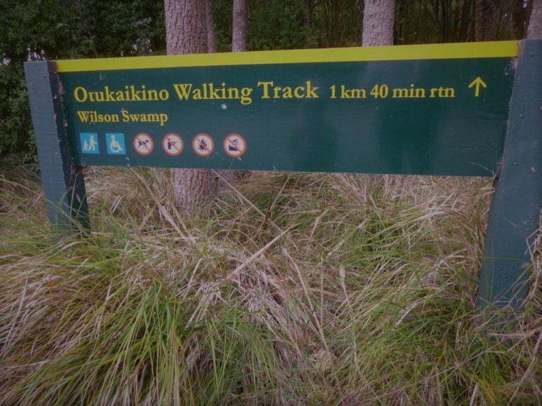 otukaikino-walk-1.2