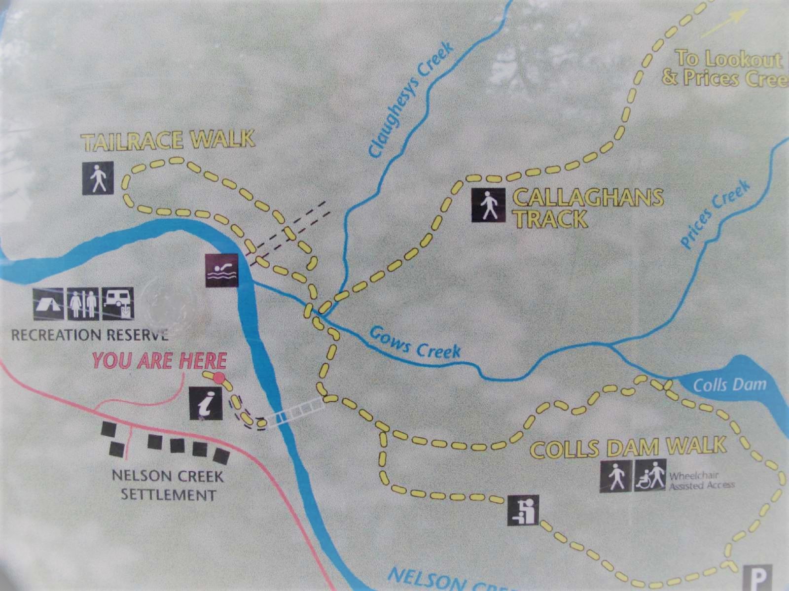 map-of-the-nelson-creek-area-tracks.2