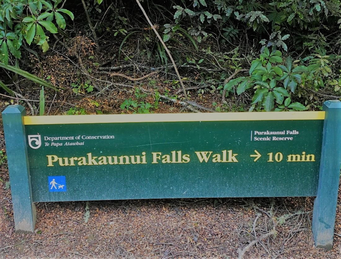 Purakanui-Falls-Walk