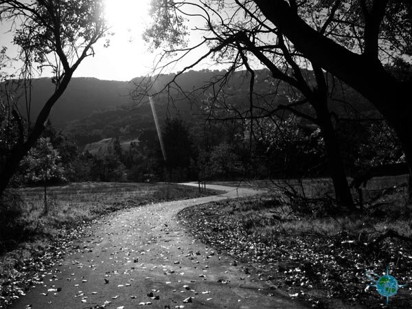 Marilyn Murphy Kane Trail