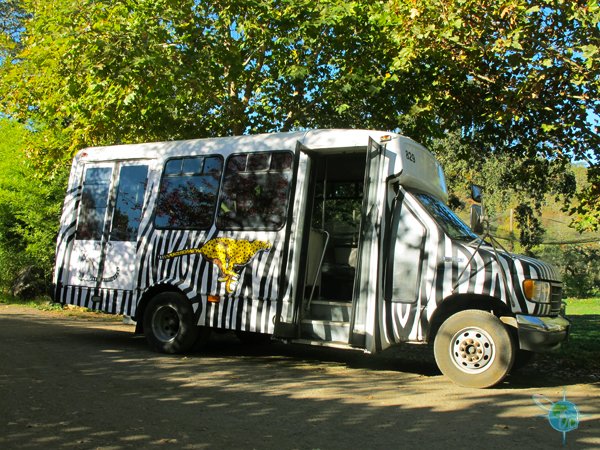 Paratransit Safari Vehicle
