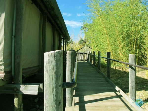 Ramp to Tent
