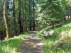chickadee-nature-trail_small