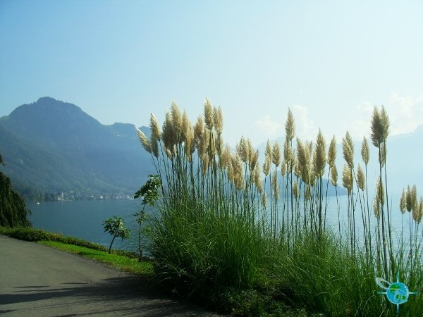 Wheelchair Walk at Weggis to Vitznau Lake Lucerne