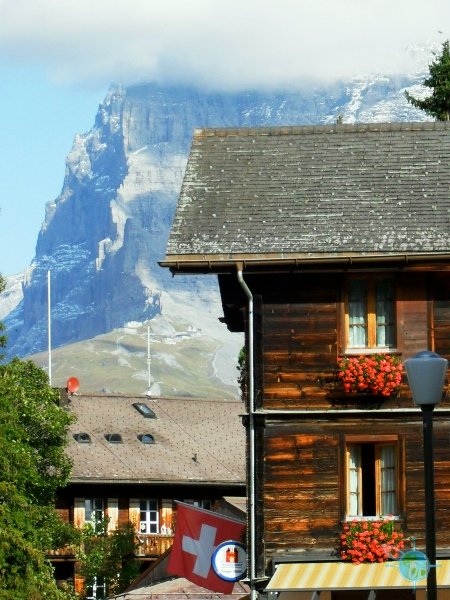 Swiss Mts. and Houses