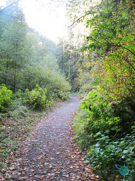 Fern Canyn Trail