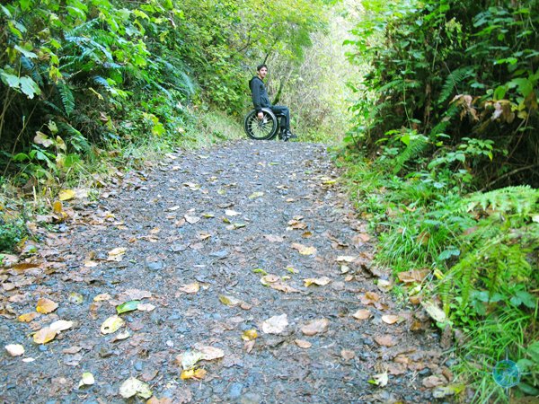 Fern Canyn Trail (1st Hill)