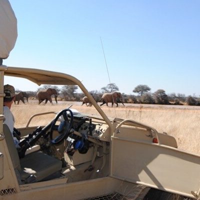 Africa Safari Hunting Tour with a Wheelchair