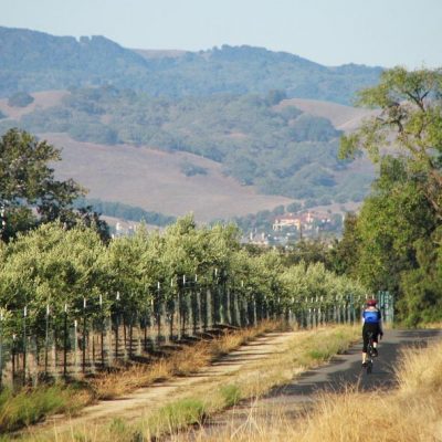 Livermore, California Wine Country