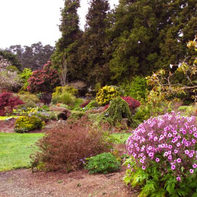 Mendocino Coast Botanical Gardens on the CA Coast