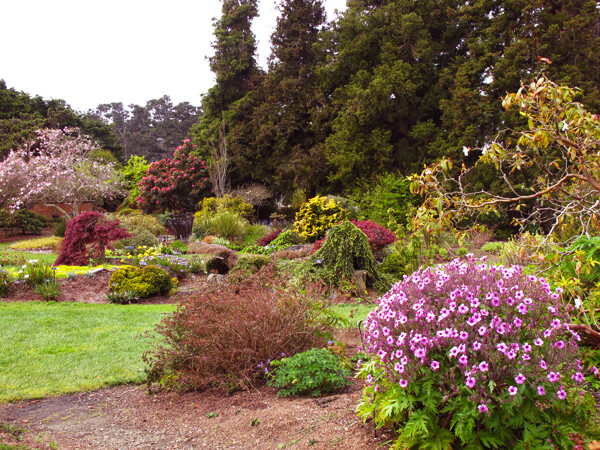 Mendocino Botanical Gardens, California Coast
