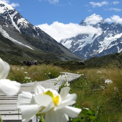 New Zealand Wheelchair Travel Tips
