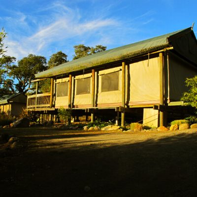 Sonoma, California: Luxury African Safari + Tent Cabin
