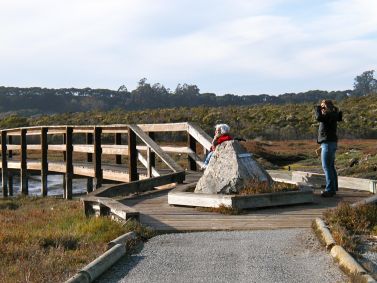 Monterey Bay, California: Elkhorn Slough