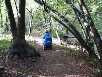 CA Coast: Pfeiffer Big Sur State Park Accessibility