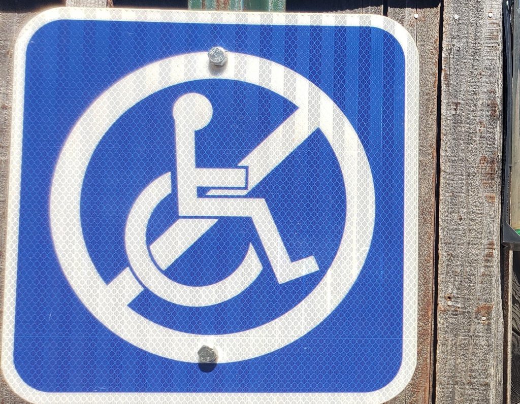 The International Disability Treaty