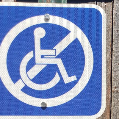 The International Disability Treaty