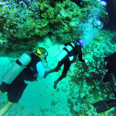 Cozumel, Mexico: Adapted Scuba Diving