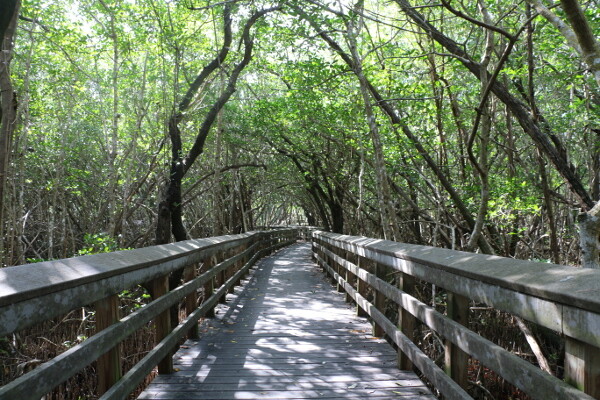Florida Everglades National Park Access Guide