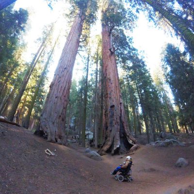 Sequoia + Kings Canyon National Park, California