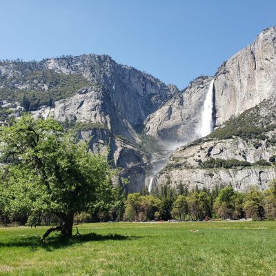 Overview: Yosemite National Park